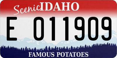 ID license plate E011909