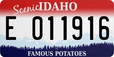 ID license plate E011916