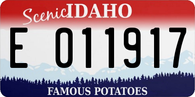 ID license plate E011917