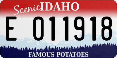 ID license plate E011918