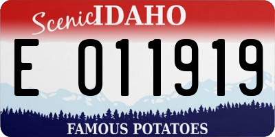 ID license plate E011919