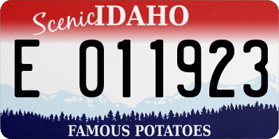 ID license plate E011923