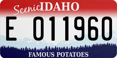 ID license plate E011960