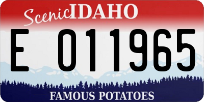 ID license plate E011965