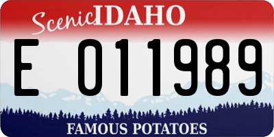 ID license plate E011989
