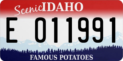 ID license plate E011991