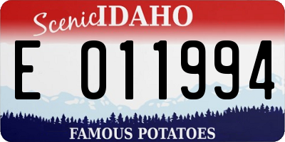 ID license plate E011994