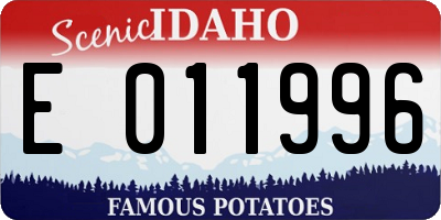 ID license plate E011996