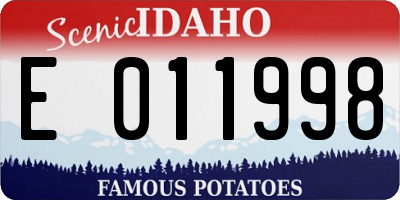 ID license plate E011998