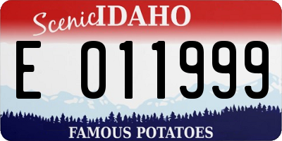 ID license plate E011999