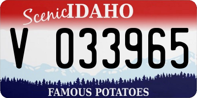 ID license plate V033965