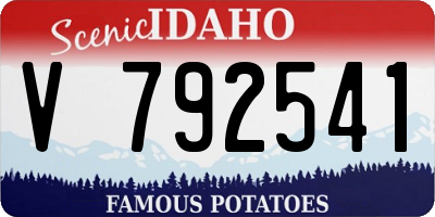 ID license plate V792541