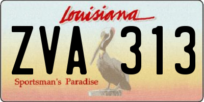 LA license plate ZVA313
