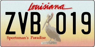 LA license plate ZVB019