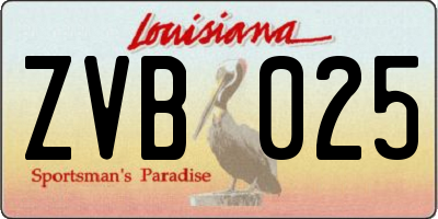 LA license plate ZVB025