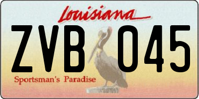 LA license plate ZVB045