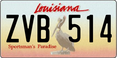 LA license plate ZVB514