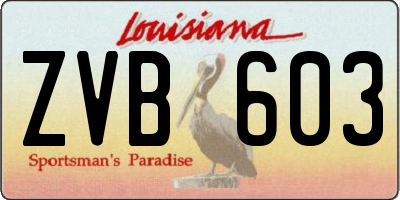 LA license plate ZVB603