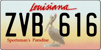 LA license plate ZVB616
