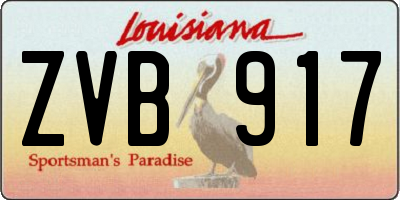 LA license plate ZVB917