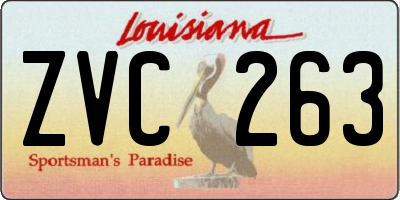 LA license plate ZVC263