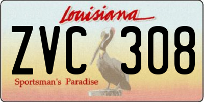 LA license plate ZVC308