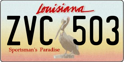 LA license plate ZVC503
