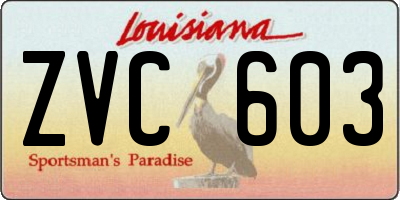 LA license plate ZVC603