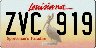 LA license plate ZVC919