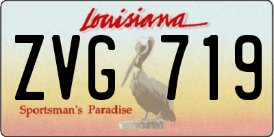 LA license plate ZVG719