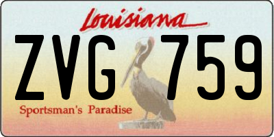 LA license plate ZVG759
