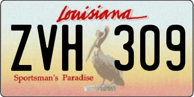 LA license plate ZVH309