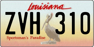 LA license plate ZVH310