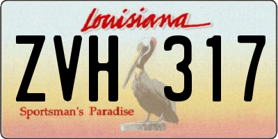 LA license plate ZVH317