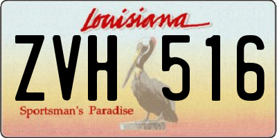 LA license plate ZVH516
