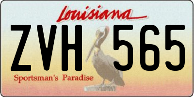 LA license plate ZVH565