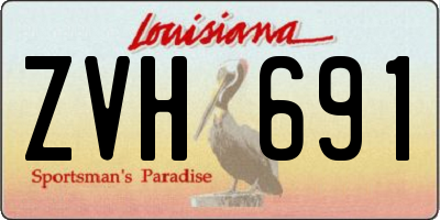 LA license plate ZVH691