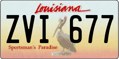 LA license plate ZVI677