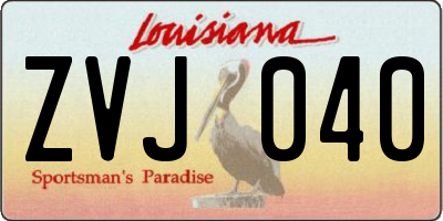 LA license plate ZVJ040
