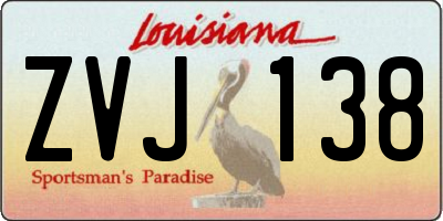 LA license plate ZVJ138