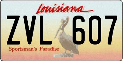 LA license plate ZVL607