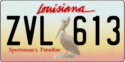 LA license plate ZVL613