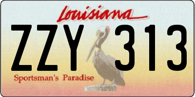 LA license plate ZZY313