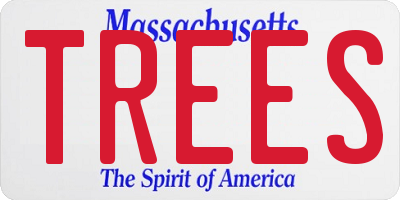MA license plate TREES