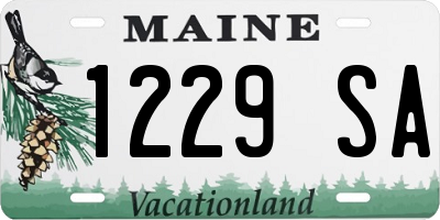 ME license plate 1229SA