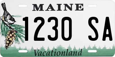 ME license plate 1230SA