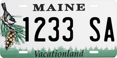 ME license plate 1233SA