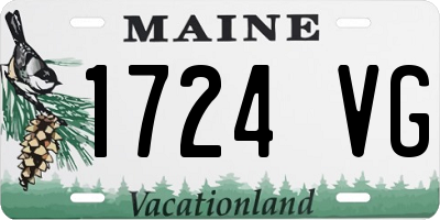 ME license plate 1724VG