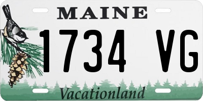ME license plate 1734VG