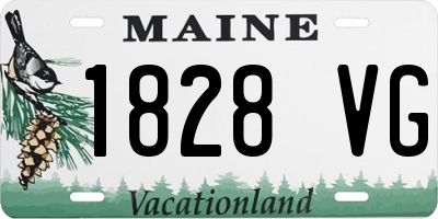 ME license plate 1828VG
